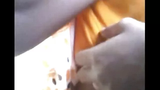 عضو آموزش پخش سکس زیبا دو ورزشکار جوان